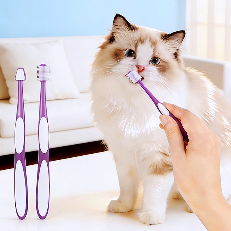 犬用歯ブラシ 360度ペット歯ブラシ 柔らかい毛のブラシ 犬 - Teeth Whitening Brush のレビューと価格