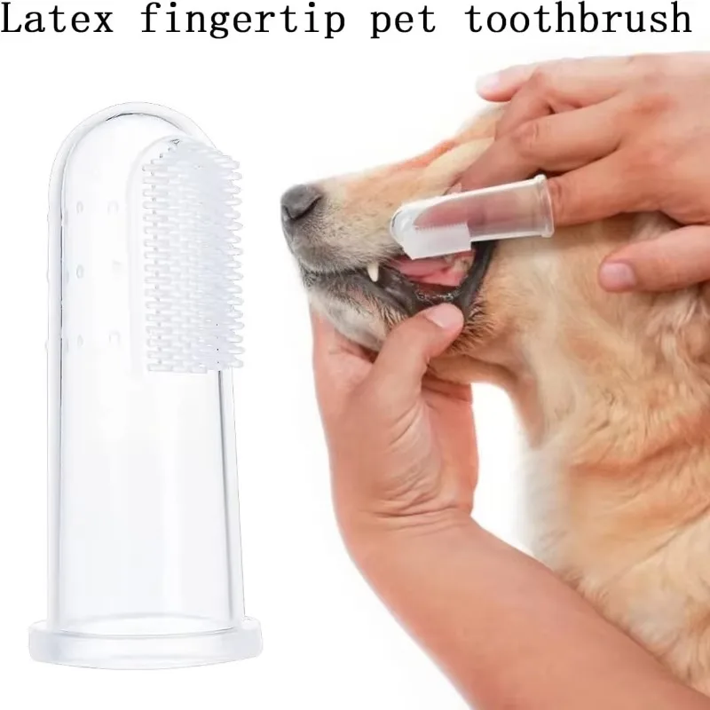 超ソフトペットフィンガー歯ブラシ テディドッグブラシ 口臭  - Teeth Whitening Brush のレビューと価格