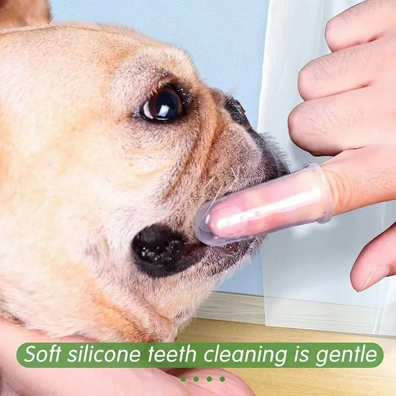 超ソフトペットフィンガー歯ブラシ テディドッグブラシ 口臭  - Teeth Whitening Brush のレビューと価格