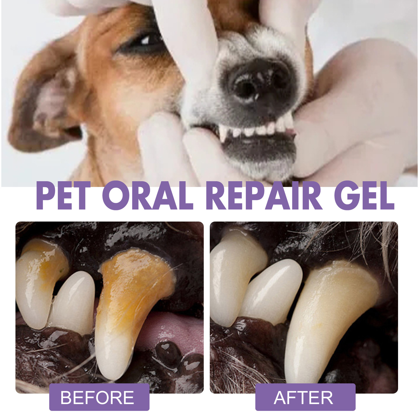 ペット口腔修復ジェル子犬歯石除去消臭剤白くする猫犬歯ステイン - Teeth Whitening Gel のレビューと価格