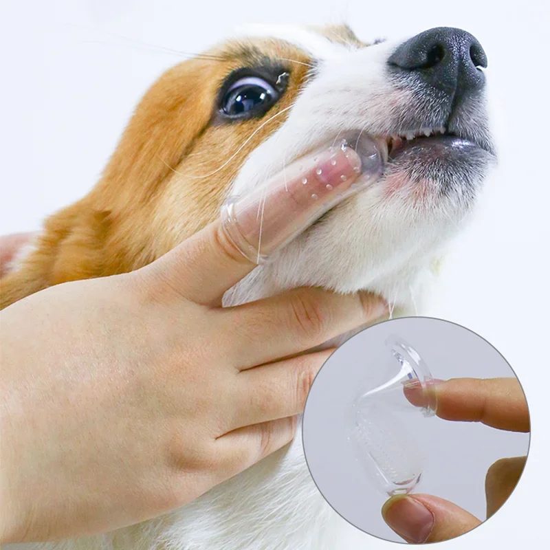 スーパーソフトペット指歯ブラシテディ犬ブラシ口臭歯石歯ケアツ - Teeth Whitening Brush のレビューと価格